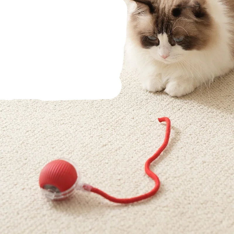 Brinquedo Interativo Elétrico Recarregável para Cães e Gatos com Cauda Móvel e Rolagem Automática