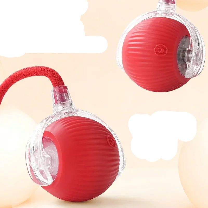 Brinquedo Interativo Elétrico Recarregável para Cães e Gatos com Cauda Móvel e Rolagem Automática