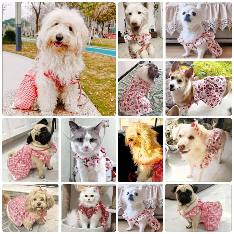 Vestido de Verão para Pets