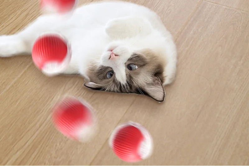 Brinquedo Interativo Elétrico Recarregável para Cães e Gatos com Cauda Móvel e Rolagem Automática